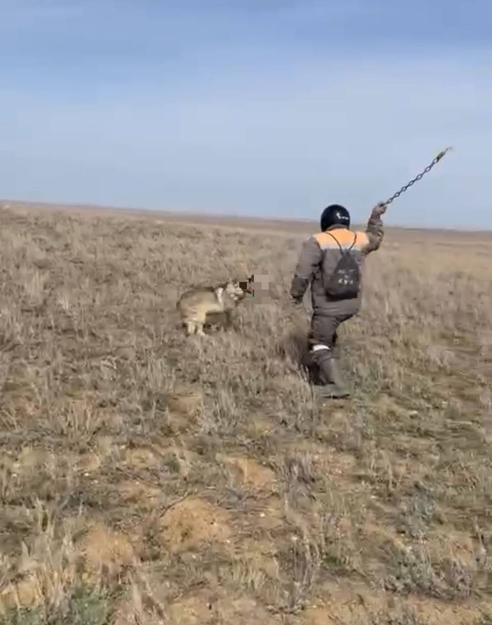 новости казахстана, полезные новости, эксклюзив, новости Казахстана и мира,...