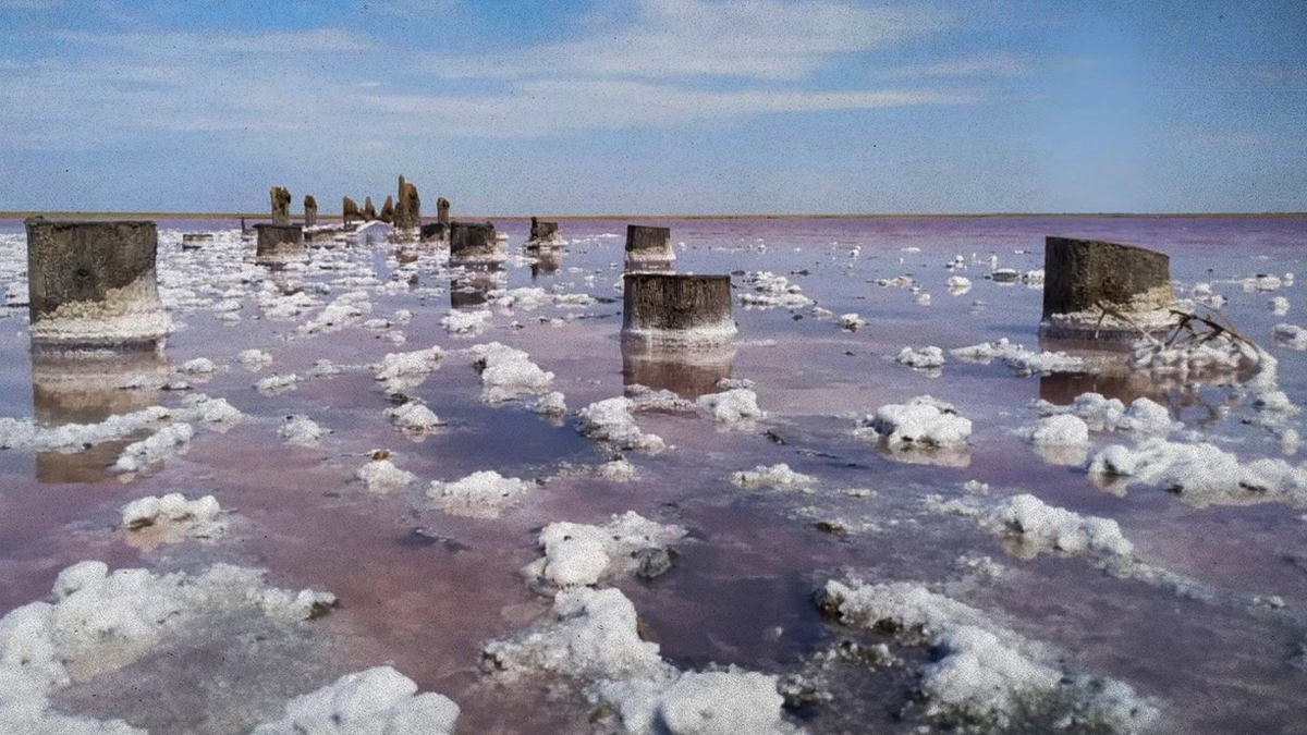 Кто ворует соль с розового озера в Павлодарской области