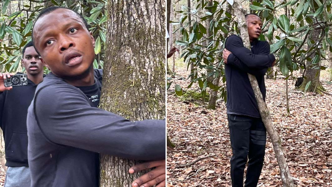 split-image-of-abubakar-hugging-trees-768955