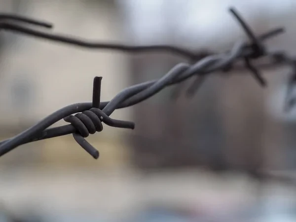 Четырех журналистов осудили за призывы к беспорядкам в Кыргызстане