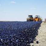 Рекордный объем дорог отремонтируют в Казахстане