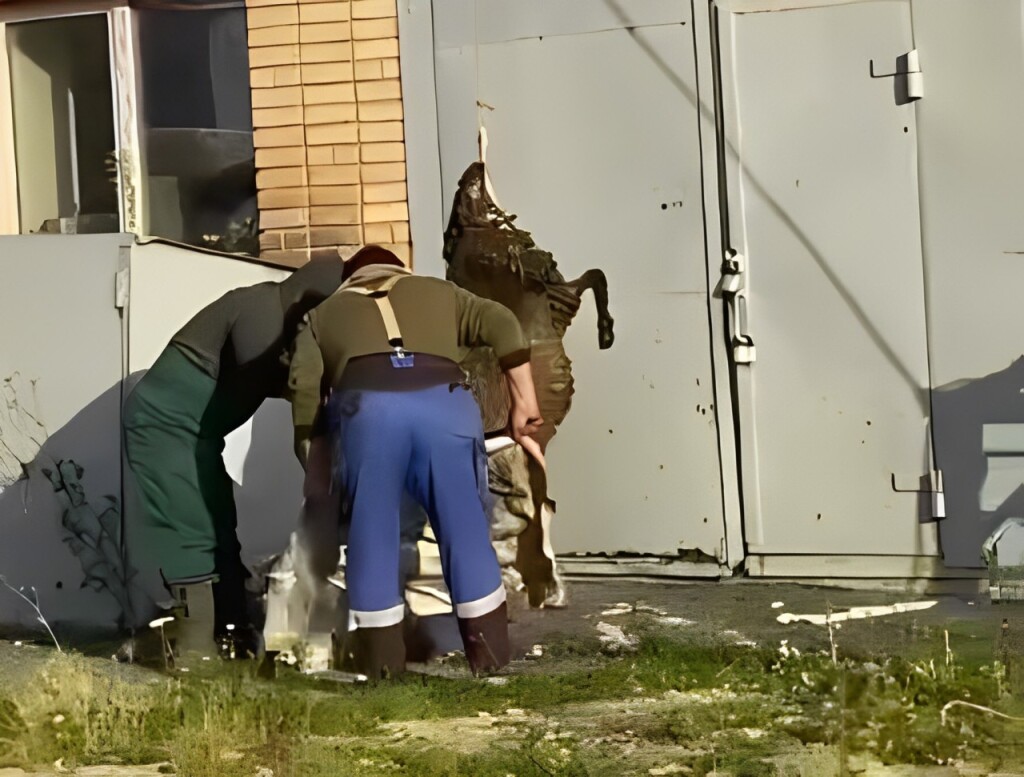 Тушу барана подвесили и разделали у театра в Петропавловске