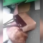 Женщина попала под автобус в Алматы