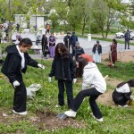 Со вкусом апорта: в Алматы возрождают яблоневые сады