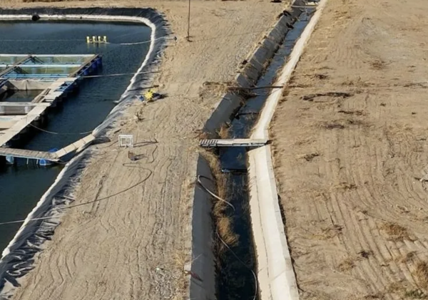 В Туркестанской области бетонными работами восстановили подачу воды по каналу «Найман»