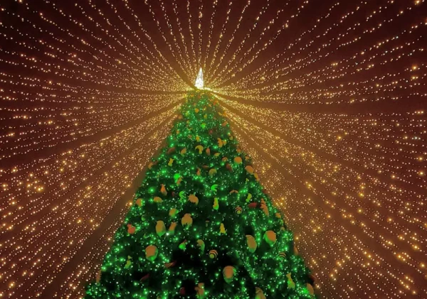 Дополнительный выходной будет у казахстанцев в декабре 2025 года