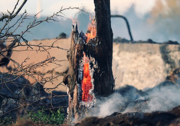 Готов ли Казахстан к лесным пожарам